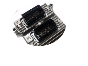 ecu motor